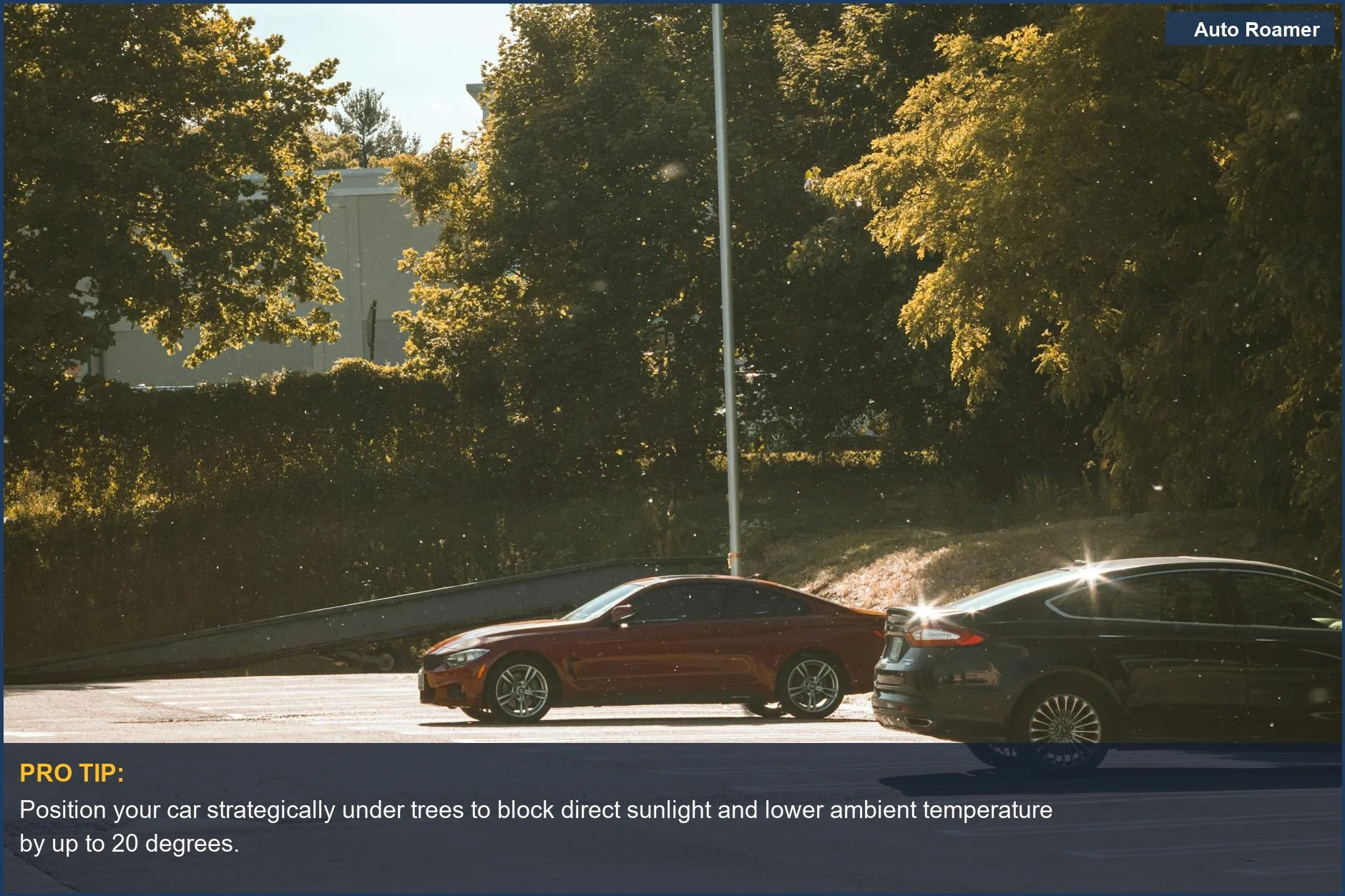 Cars parked under trees, demonstrating how to reduce car interior heat with natural shade.