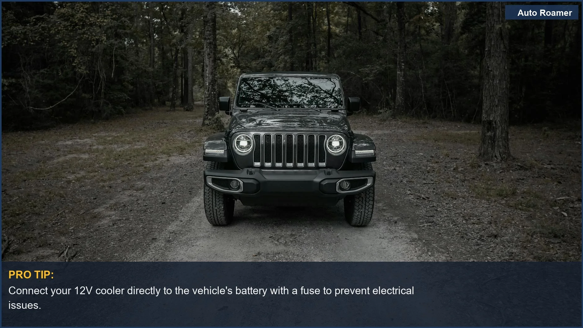 Jeep Wrangler on a forest trail, ideal for off-road adventures and the best 12v portable cooler fridge.