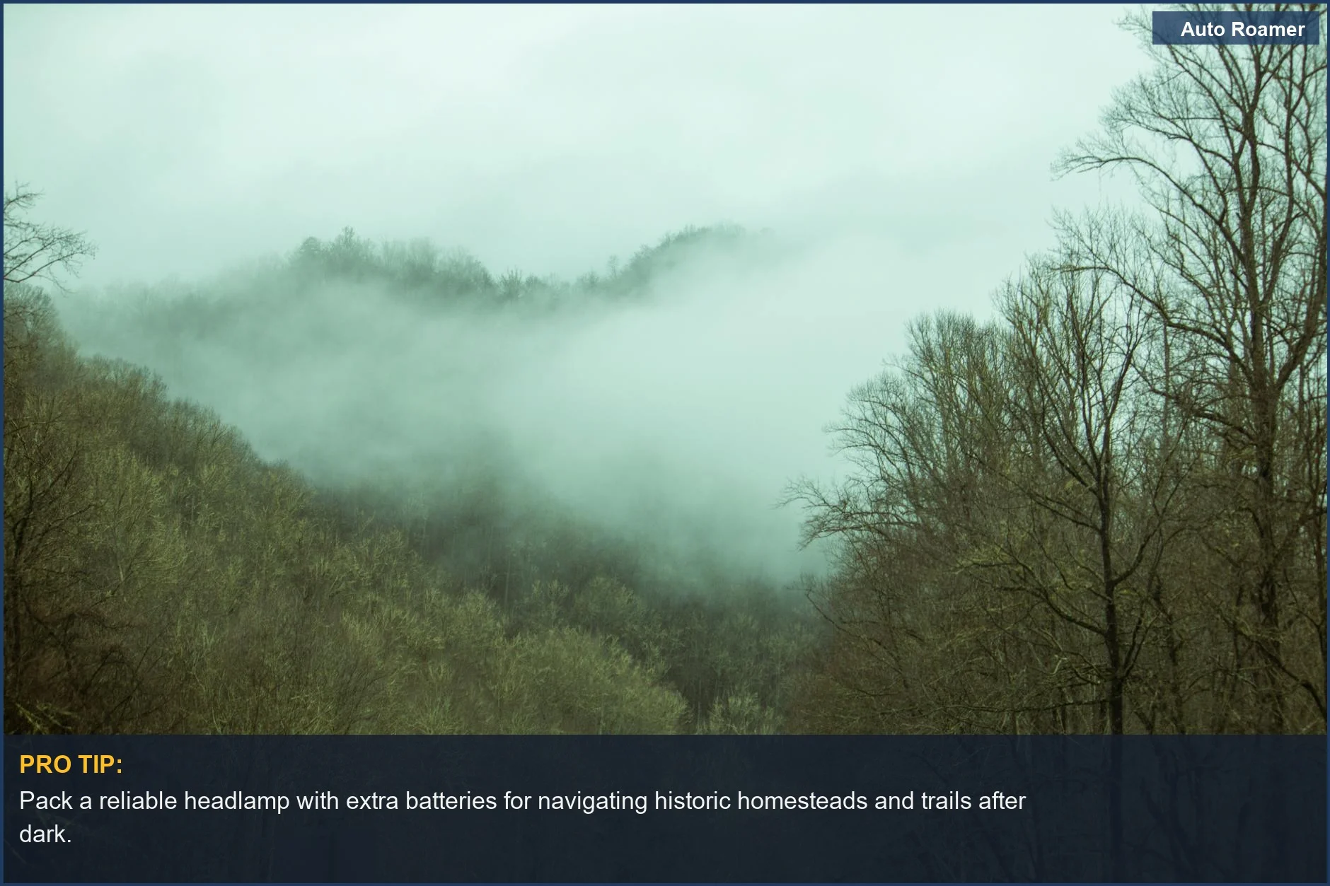 Foggy mountain forest landscape in Great Smoky Mountains National Park, ideal for camping.