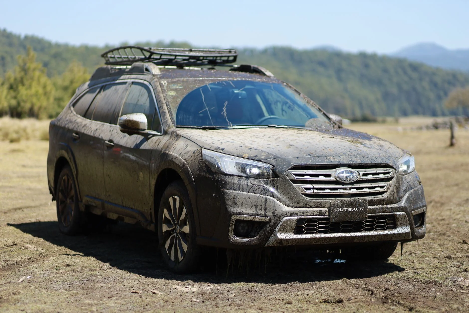 Best Subaru for Car Camping: Outback vs Forester
