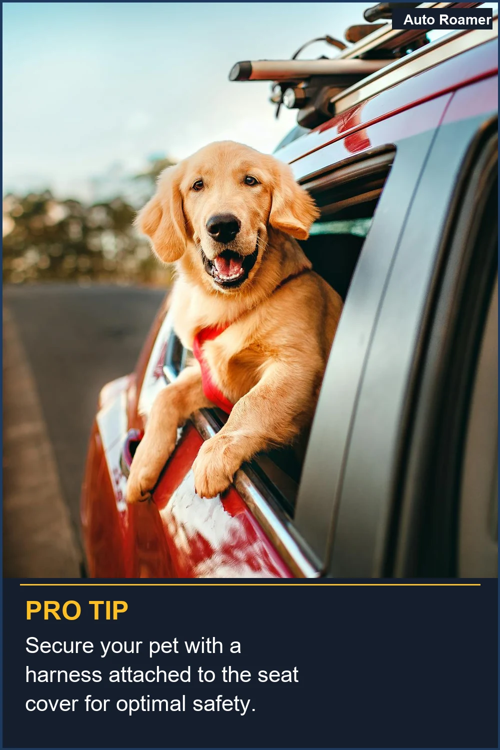 Secure your pet with a harness attached to the seat cover for optimal safety.
