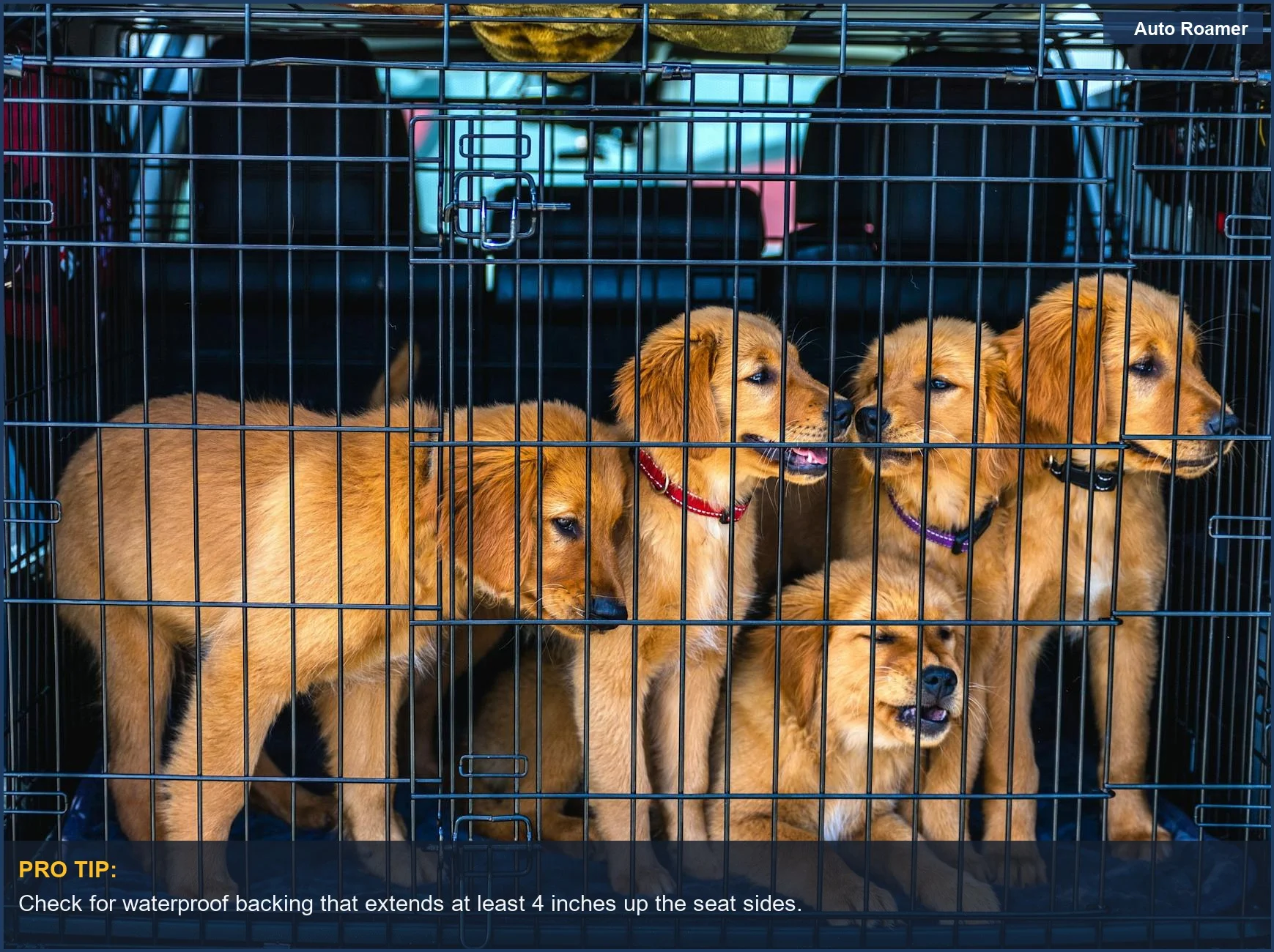 Adorable golden retriever puppies in a car carrier, emphasizing the importance of clean car interiors.