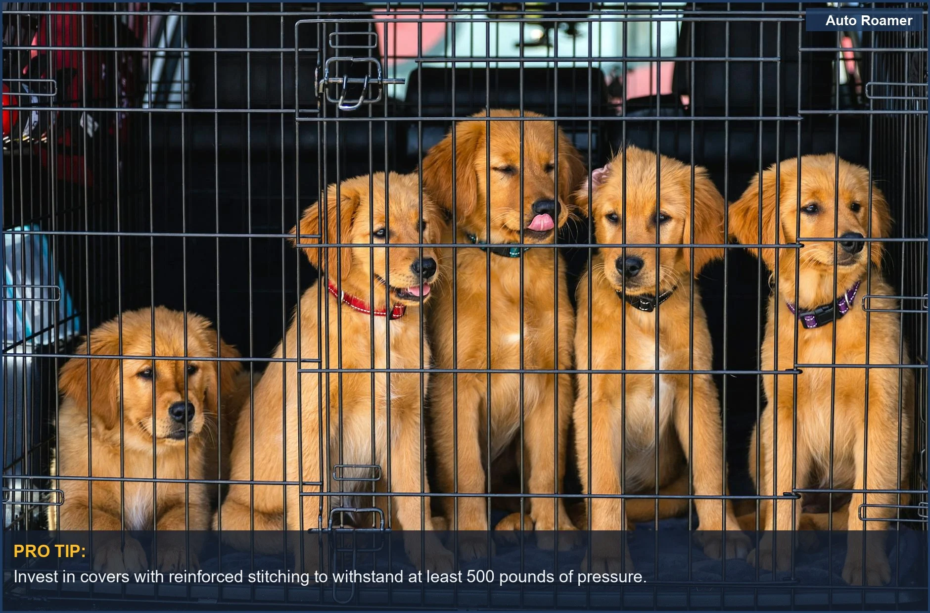 Five golden retriever puppies safely secured in a car trunk cage, needing robust seat protection.