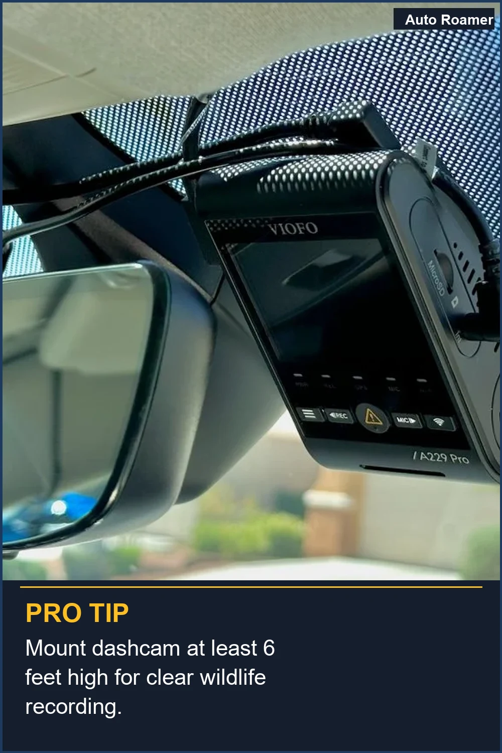 Mount dashcam at least 6 feet high for clear wildlife recording.