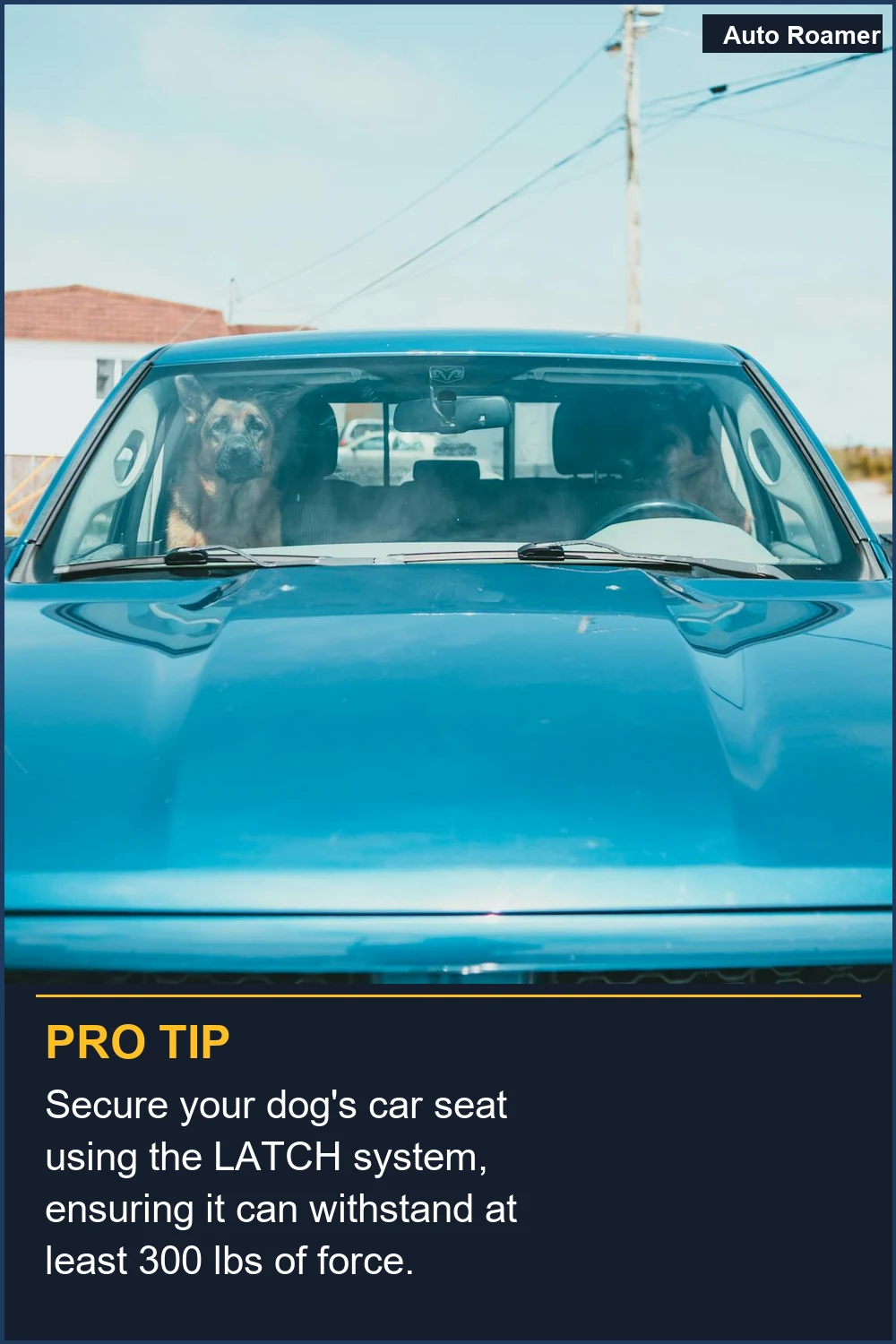 Secure your dog's car seat using the LATCH system, ensuring it can withstand at least 300 lbs of force.