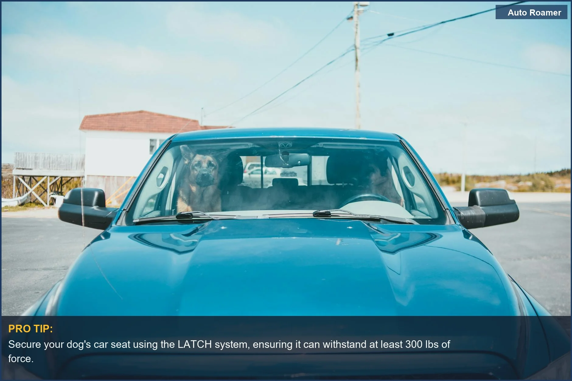 Front view of a large blue dog car seat installed in a vehicle, showcasing its robust design for safe travel.
