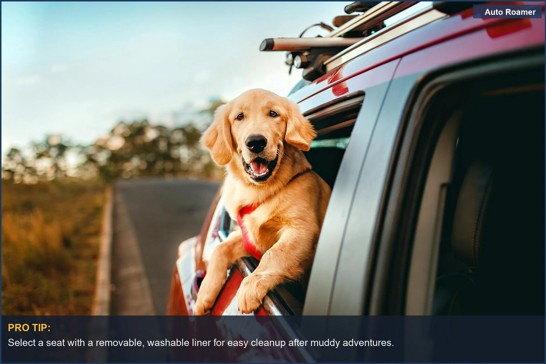 Happy golden retriever enjoying a scenic countryside drive, looking out the window of a car equipped with a secure dog seat.