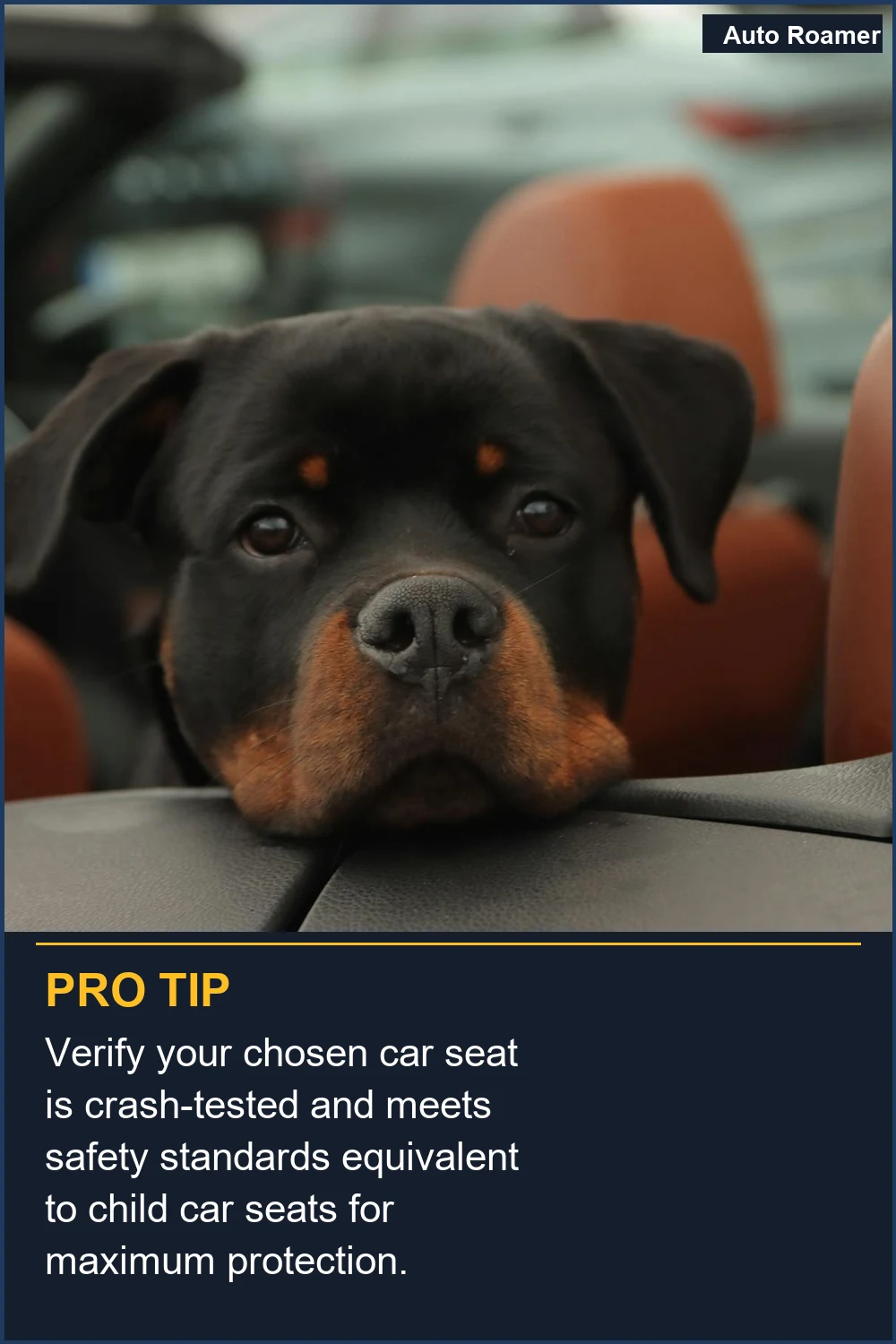 Verify your chosen car seat is crash-tested and meets safety standards equivalent to child car seats for maximum protection.