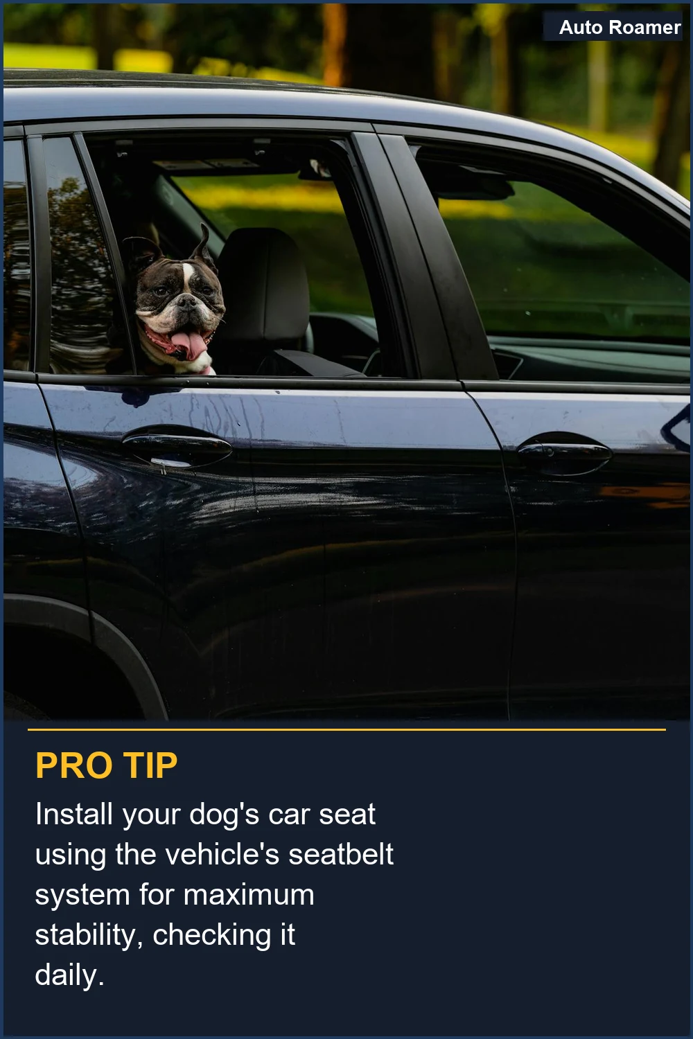 Install your dog's car seat using the vehicle's seatbelt system for maximum stability, checking it daily.