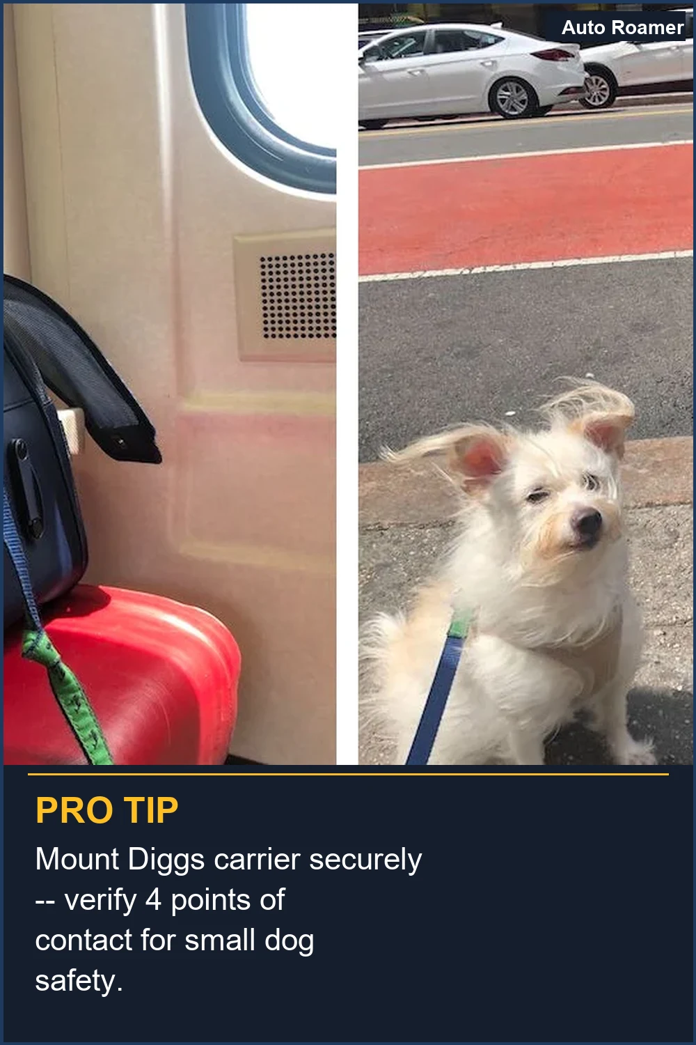 Mount Diggs carrier securely -- verify 4 points of contact for small dog safety.