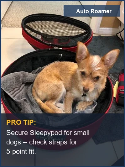 Sleepypod Mobile Pet Bed