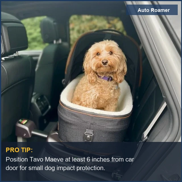 Tavo Maeve Pet Protection System