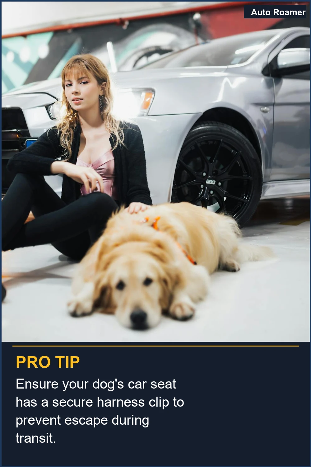 Ensure your dog's car seat has a secure harness clip to prevent escape during transit.