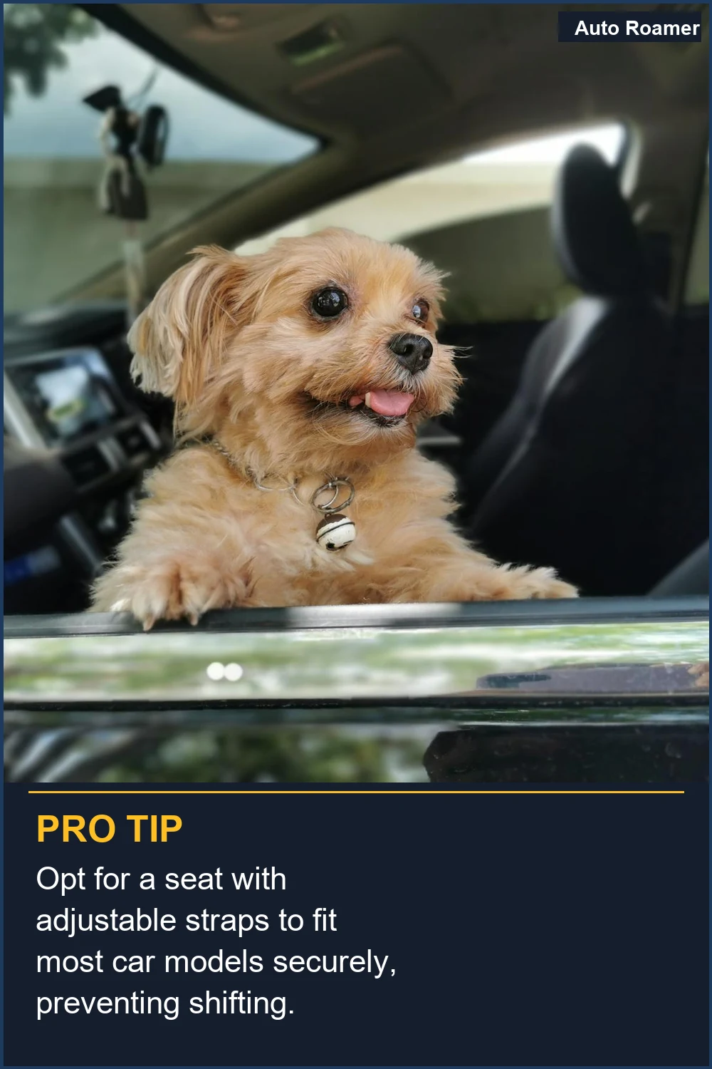 Opt for a seat with adjustable straps to fit most car models securely, preventing shifting.