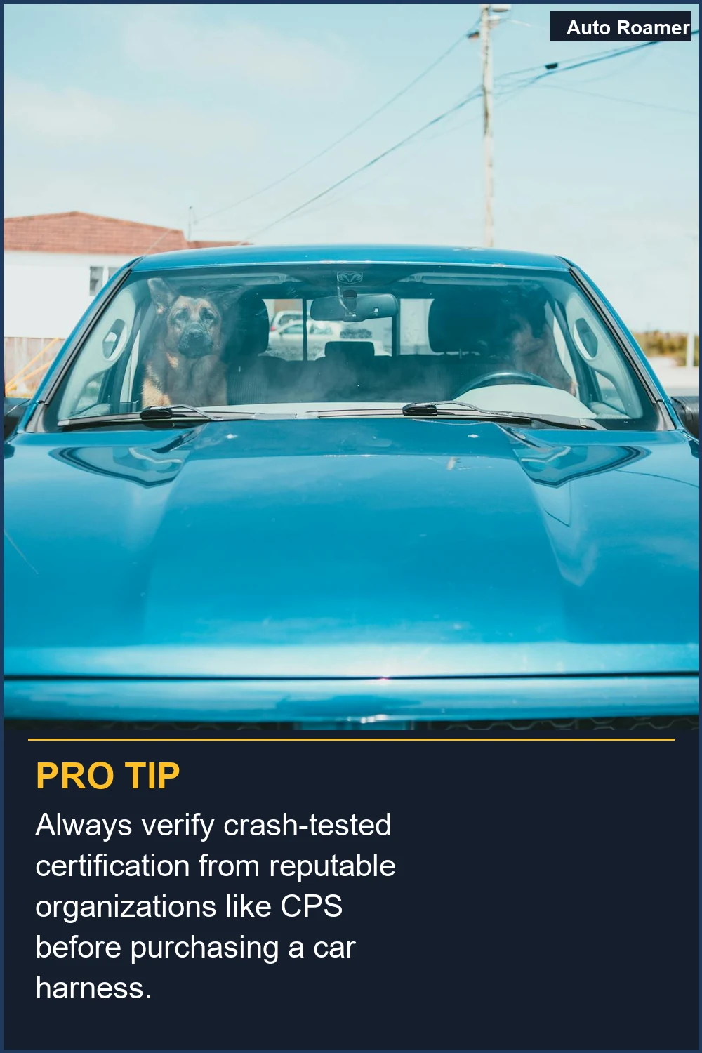 Always verify crash-tested certification from reputable organizations like CPS before purchasing a car harness.