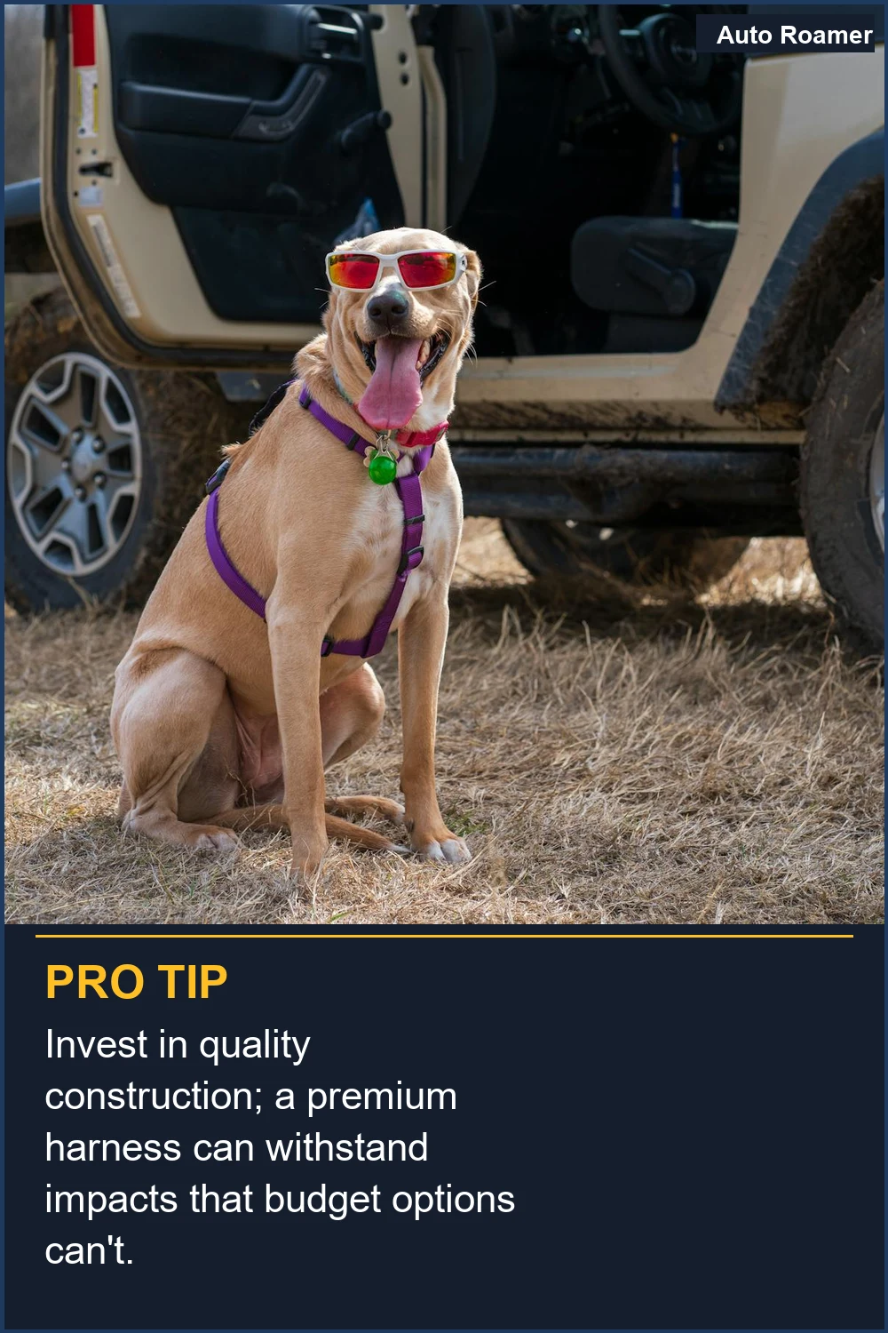 Invest in quality construction; a premium harness can withstand impacts that budget options can't.