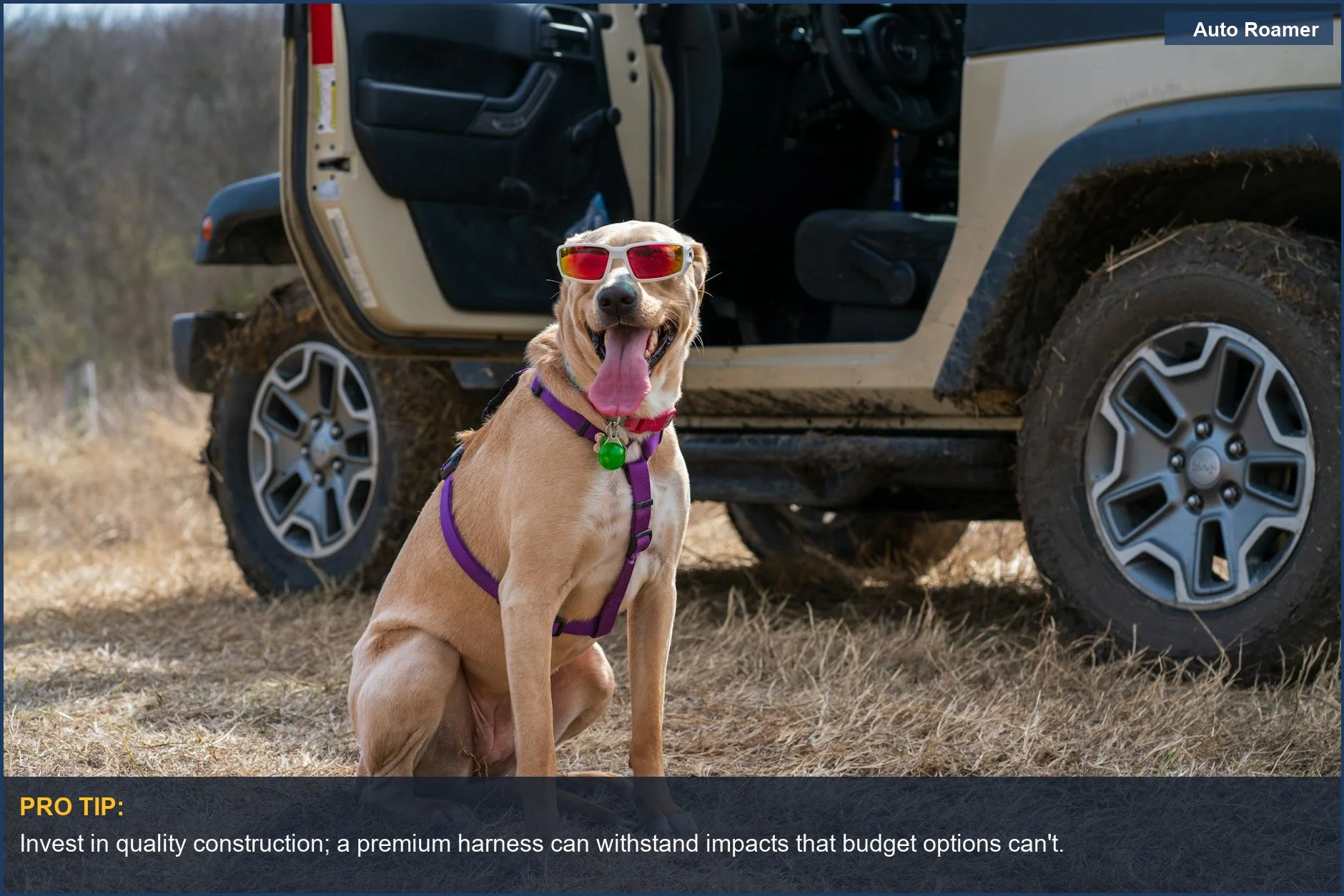 Cool dog in sunglasses and harness beside an off-road vehicle, showcasing travel gear.