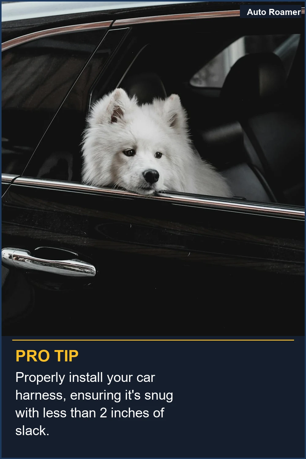 Properly install your car harness, ensuring it's snug with less than 2 inches of slack.