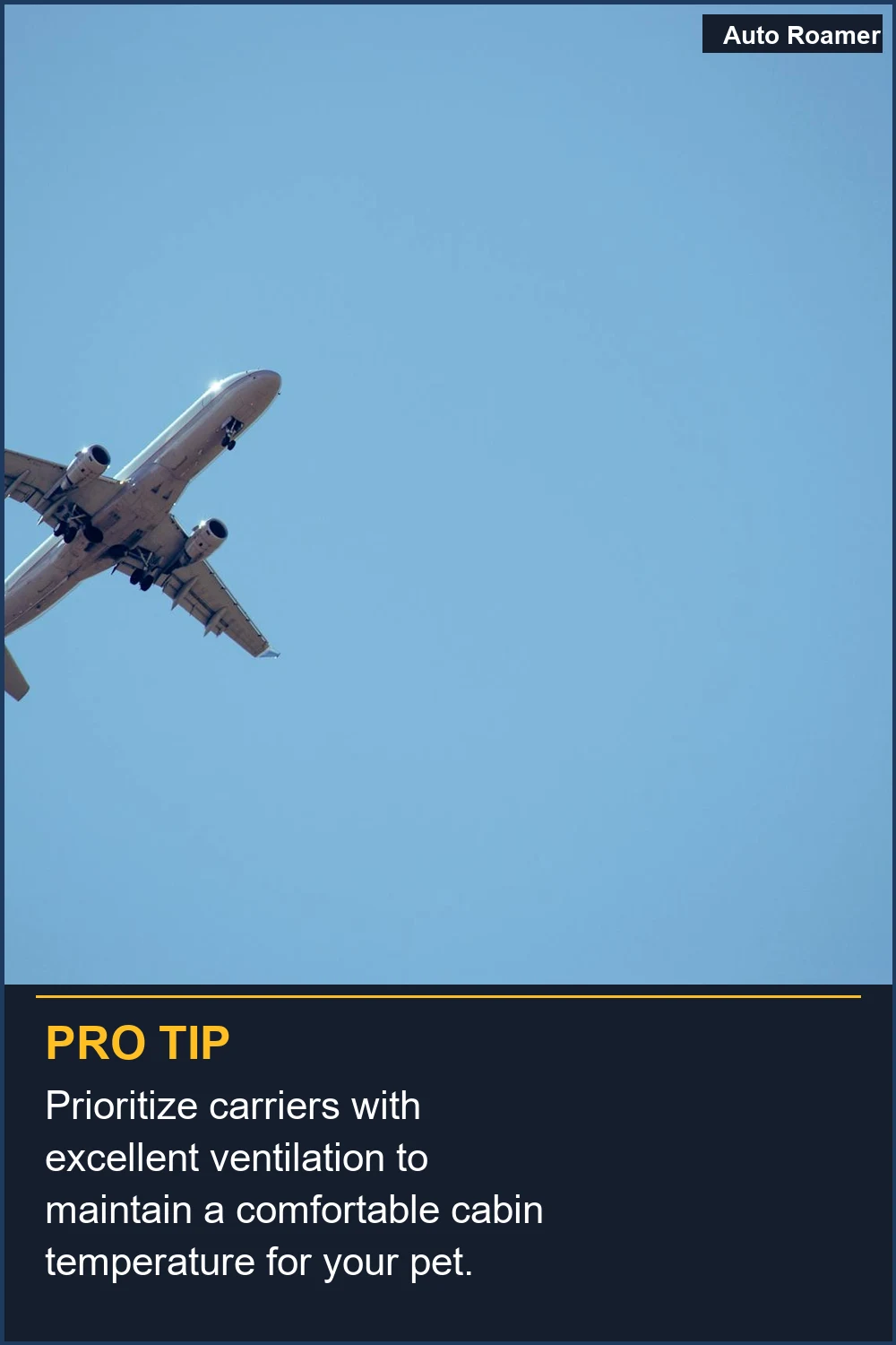 Always book your pet's travel at least 72 hours in advance to secure a spot.