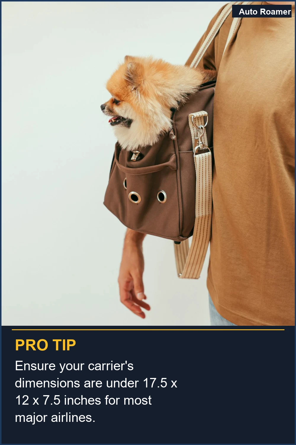 Ensure your carrier's dimensions are under 17.5 x 12 x 7.5 inches for most major airlines.