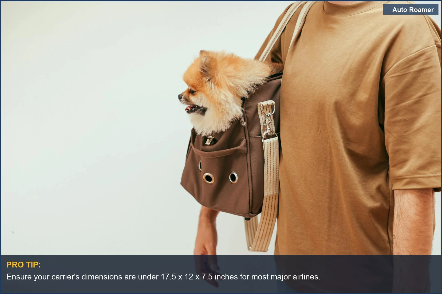 Man holding a small Pomeranian in a stylish brown dog travel carrier, perfect for plane journeys.