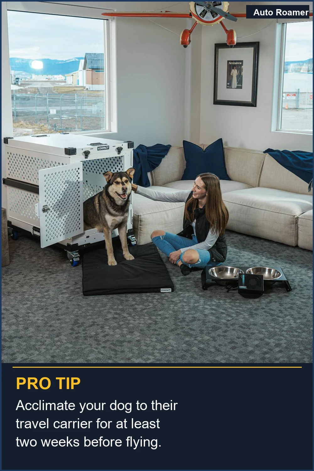 Acclimate your dog to their travel carrier for at least two weeks before flying.