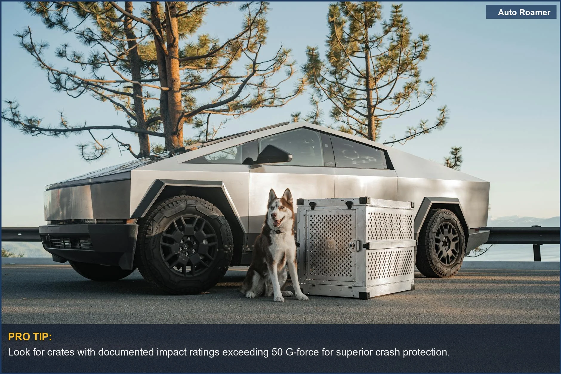 Premium dog crate in a Tesla Cybertruck with a dog, showcasing the best dog travel crates for car adventures.