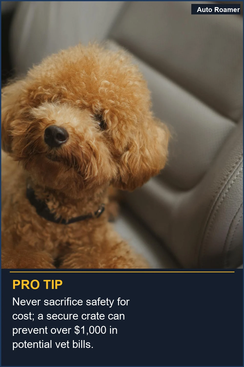 Never sacrifice safety for cost; a secure crate can prevent over $1,000 in potential vet bills.