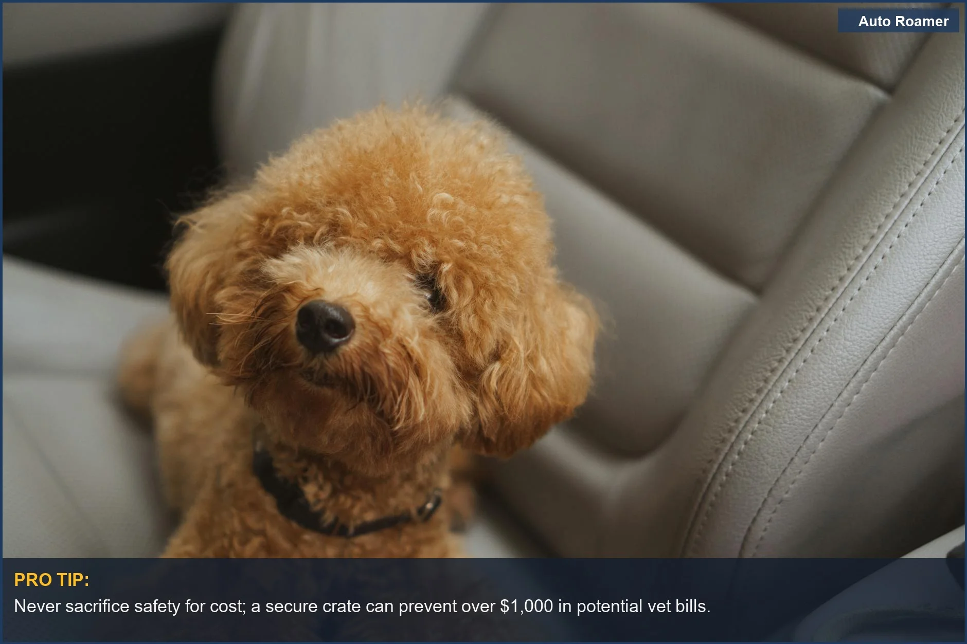 Cute brown poodle puppy comfortably in a car seat, highlighting budget-friendly dog travel crates for cars.