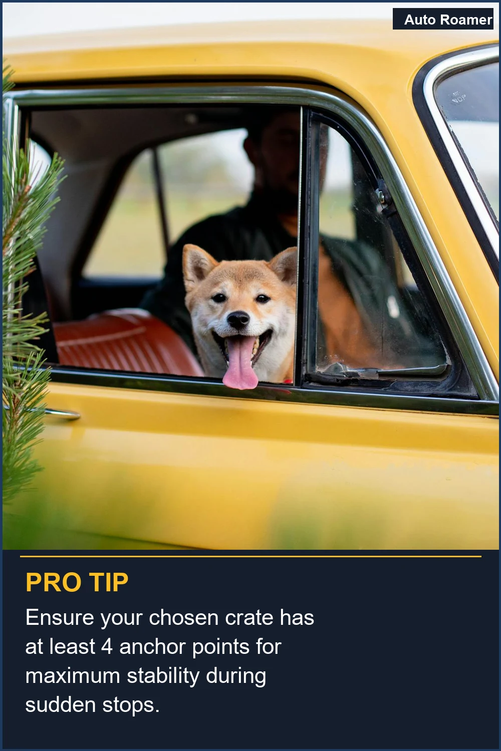 Ensure your chosen crate has at least 4 anchor points for maximum stability during sudden stops.