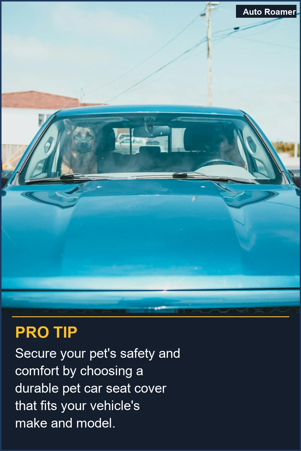 Secure your pet's safety and comfort by choosing a durable pet car seat cover that fits your vehicle's make and model.