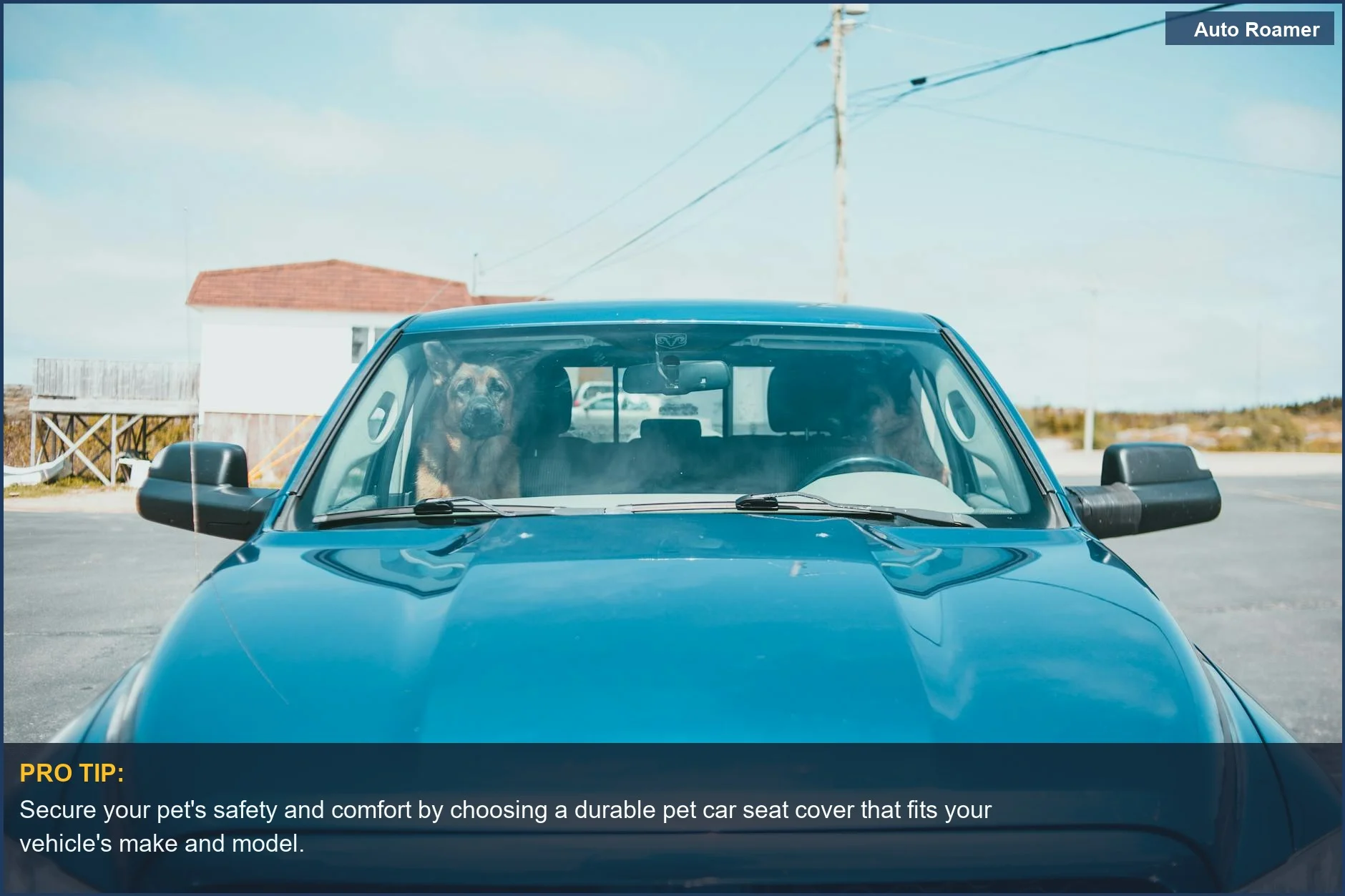 Front view of a blue car with a dog inside, showcasing the need for the best pet car seat cover protection.