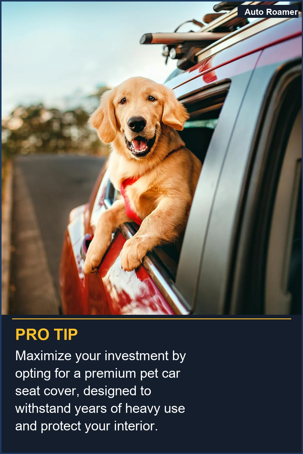 Maximize your investment by opting for a premium pet car seat cover, designed to withstand years of heavy use and protect your interior.