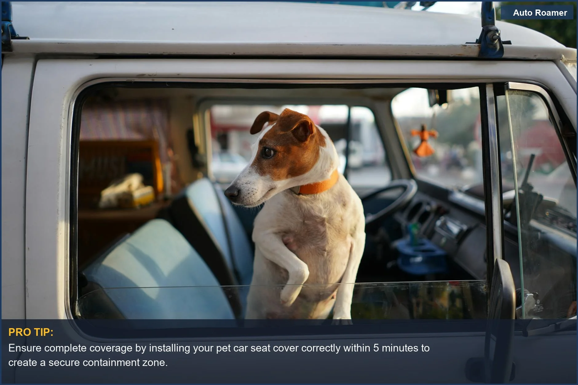 Curious Jack Russell Terrier peeking from a sunny car window, demonstrating the importance of proper installation for pet car seat covers.