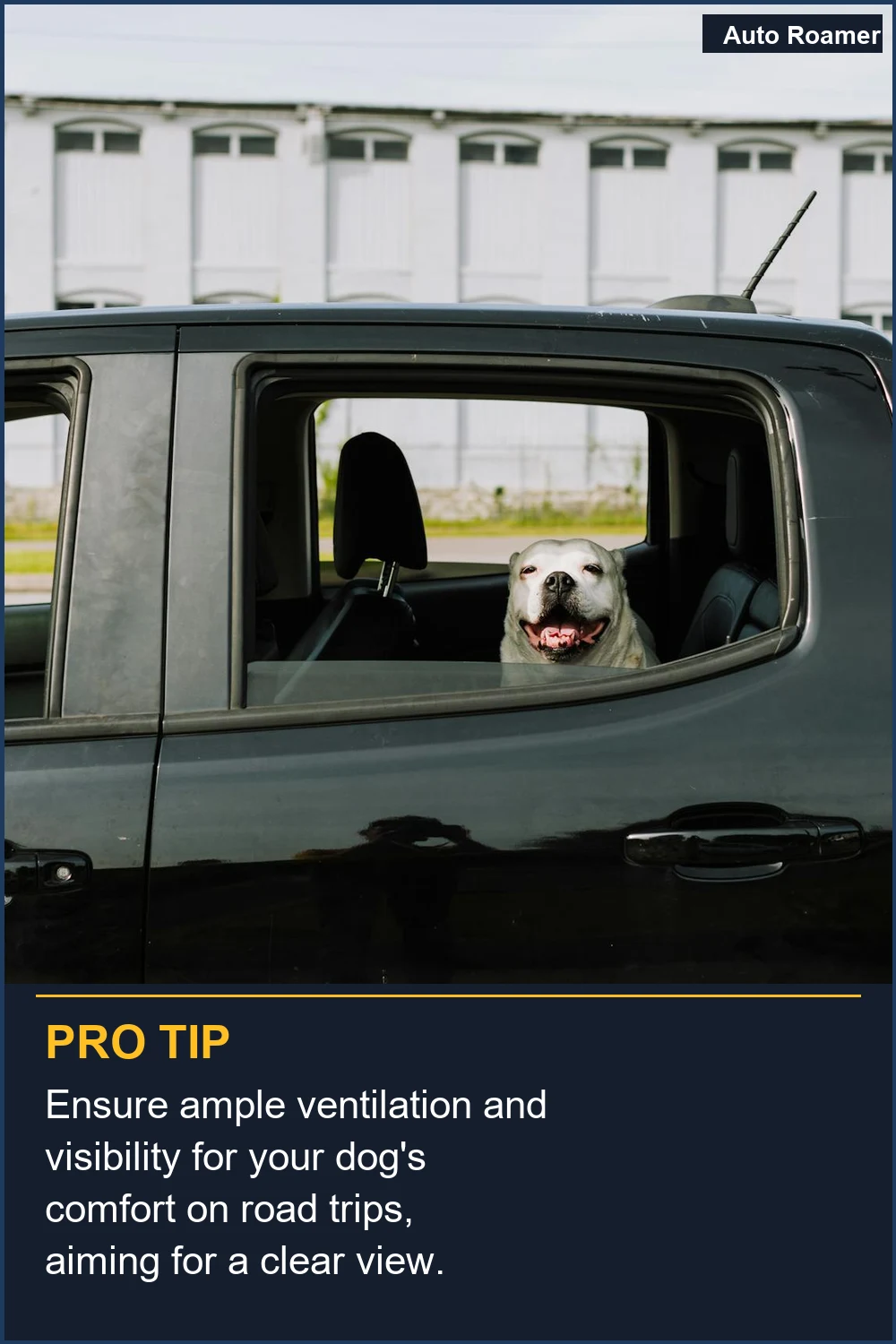 Ensure ample ventilation and visibility for your dog's comfort on road trips, aiming for a clear view.
