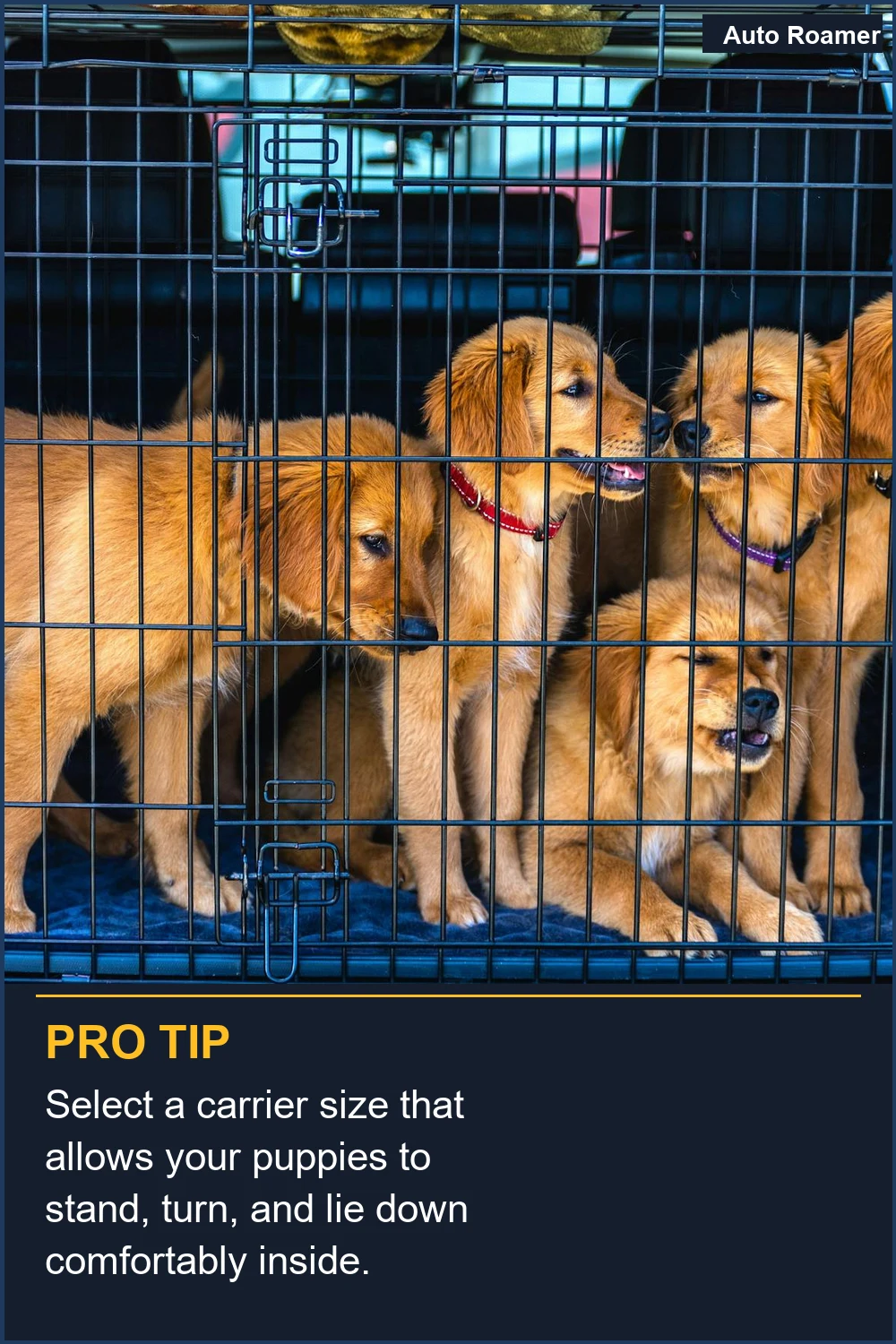 Select a carrier size that allows your puppies to stand, turn, and lie down comfortably inside.