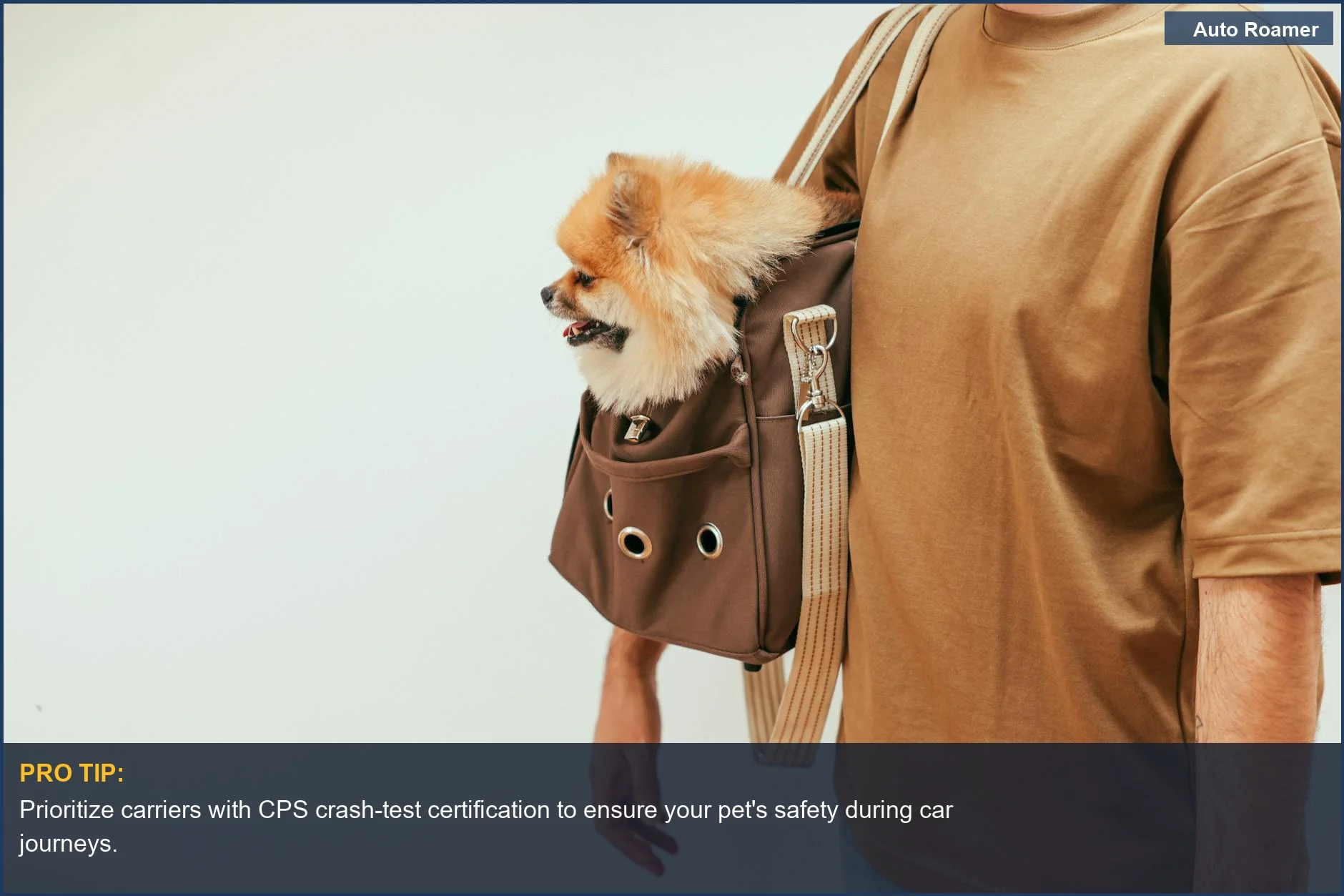 Man holds a Pomeranian in a brown, crash-tested pet carrier, highlighting safe car travel for small dogs.