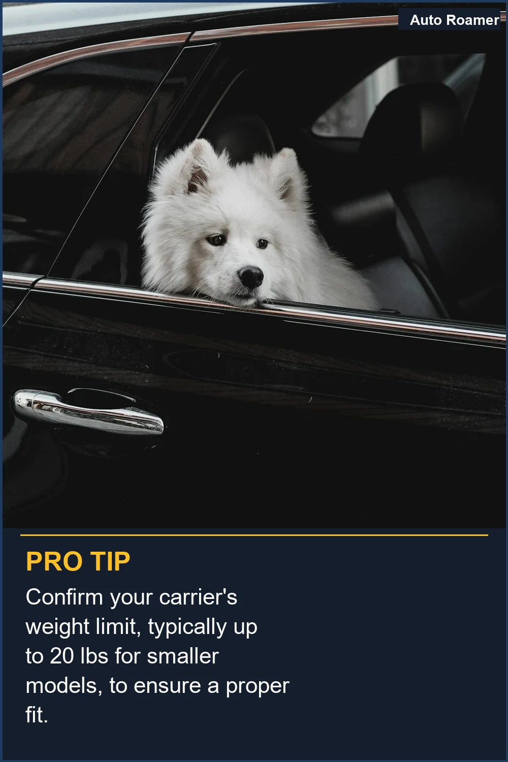 Confirm your carrier's weight limit, typically up to 20 lbs for smaller models, to ensure a proper fit.
