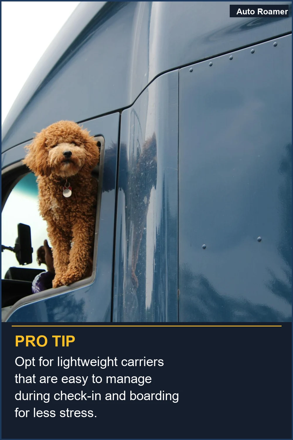 Opt for lightweight carriers that are easy to manage during check-in and boarding for less stress.