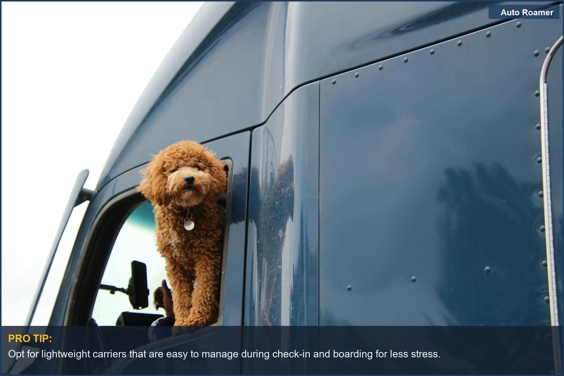 Joyful fluffy dog with head out truck window on a road trip adventure.