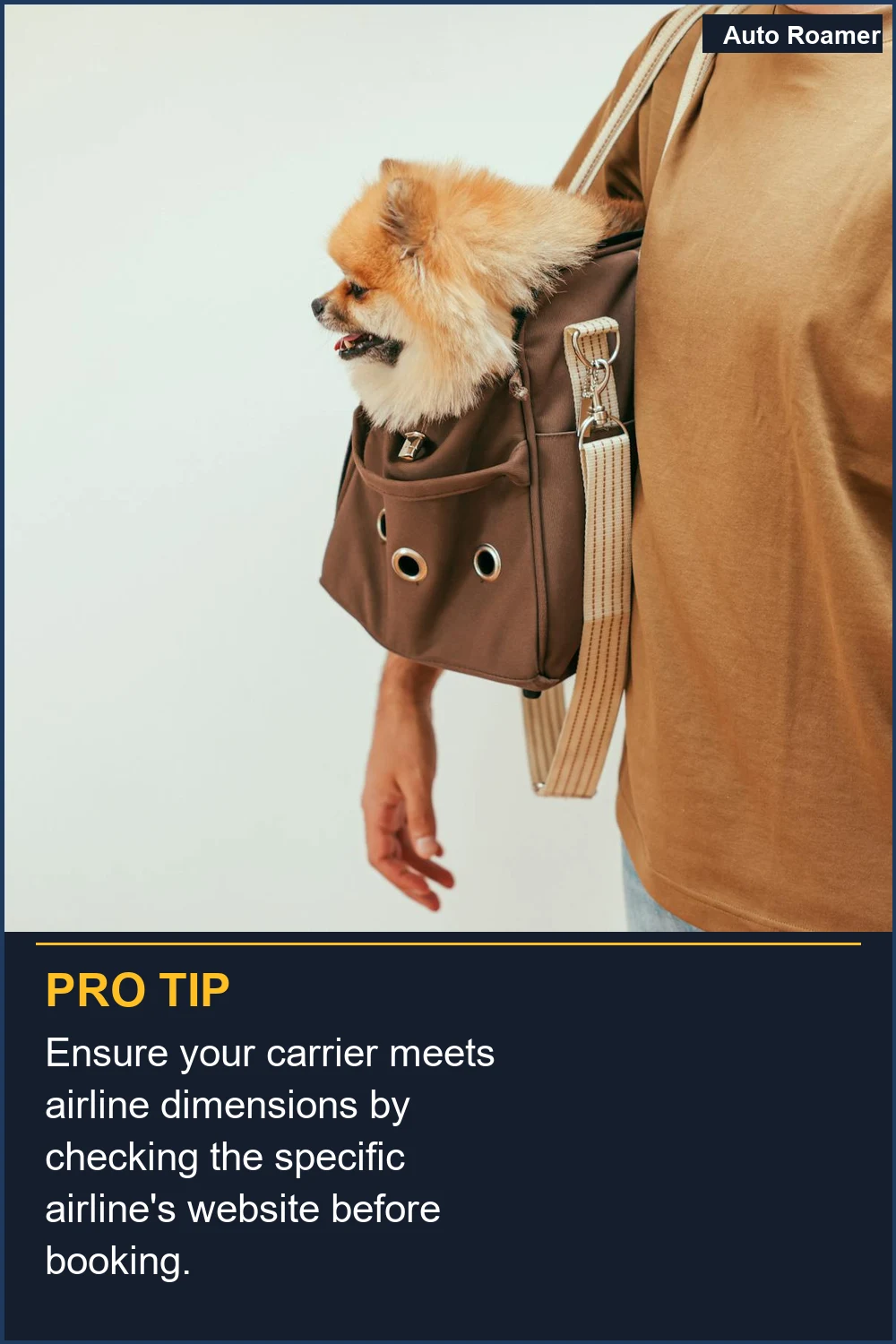 Ensure your carrier meets airline dimensions by checking the specific airline's website before booking.