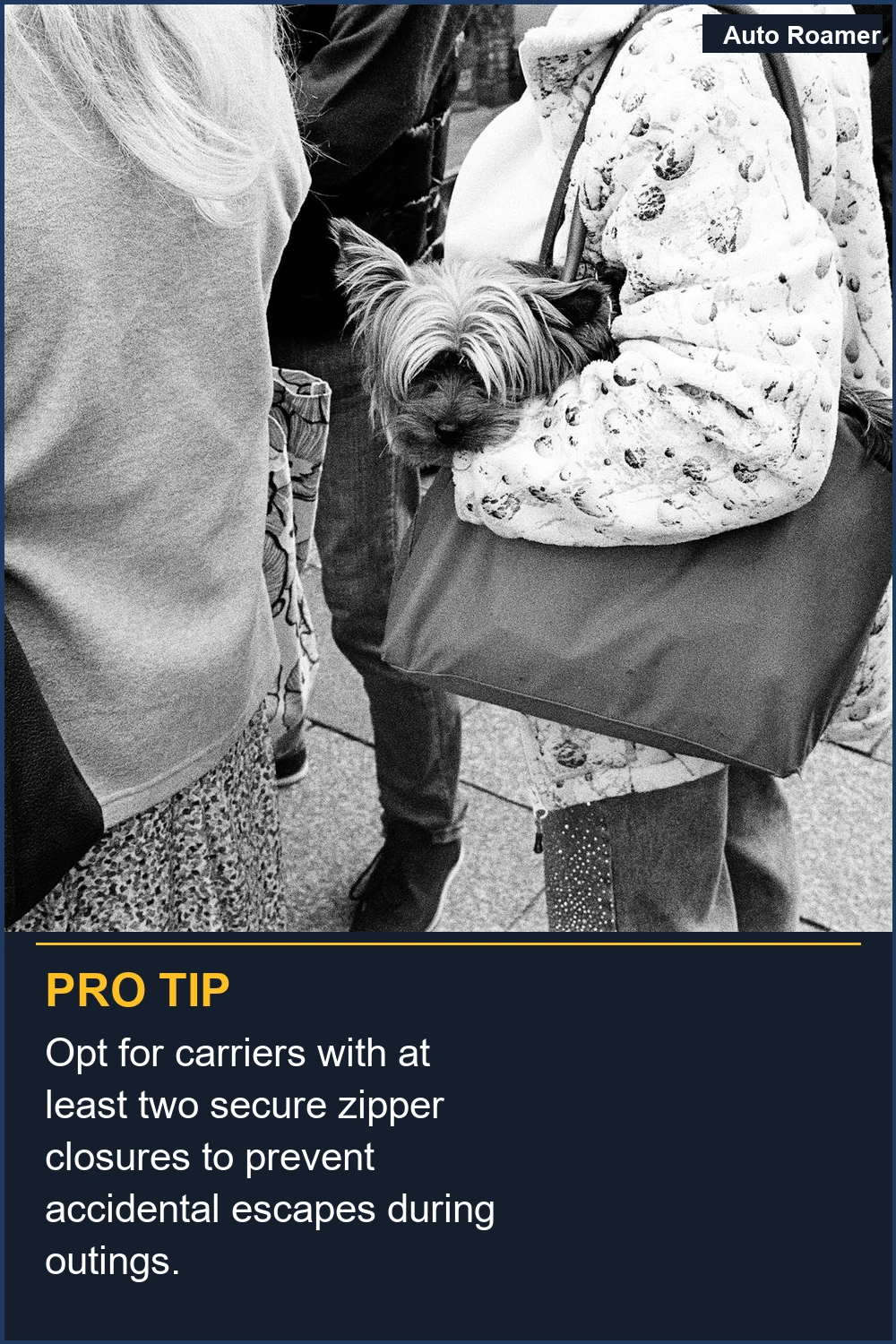 Opt for carriers with at least two secure zipper closures to prevent accidental escapes during outings.
