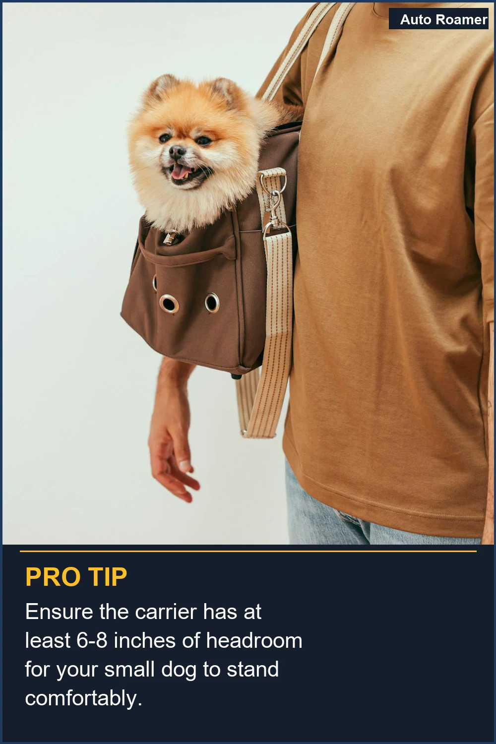 Ensure the carrier has at least 6-8 inches of headroom for your small dog to stand comfortably.