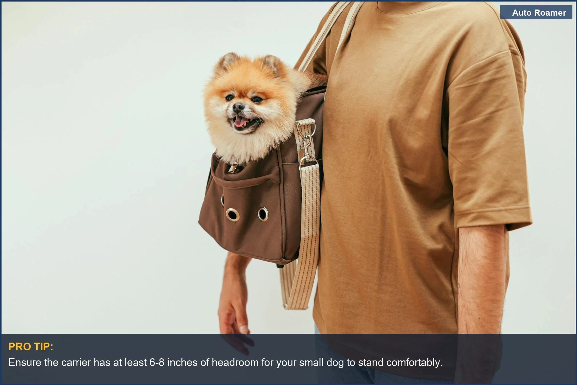 Happy Pomeranian in a stylish pet carrier bag, highlighting comfort for small dogs.
