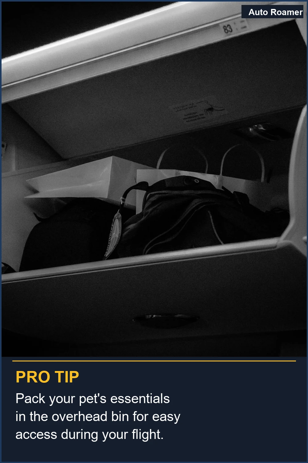 Pack your pet's essentials in the overhead bin for easy access during your flight.