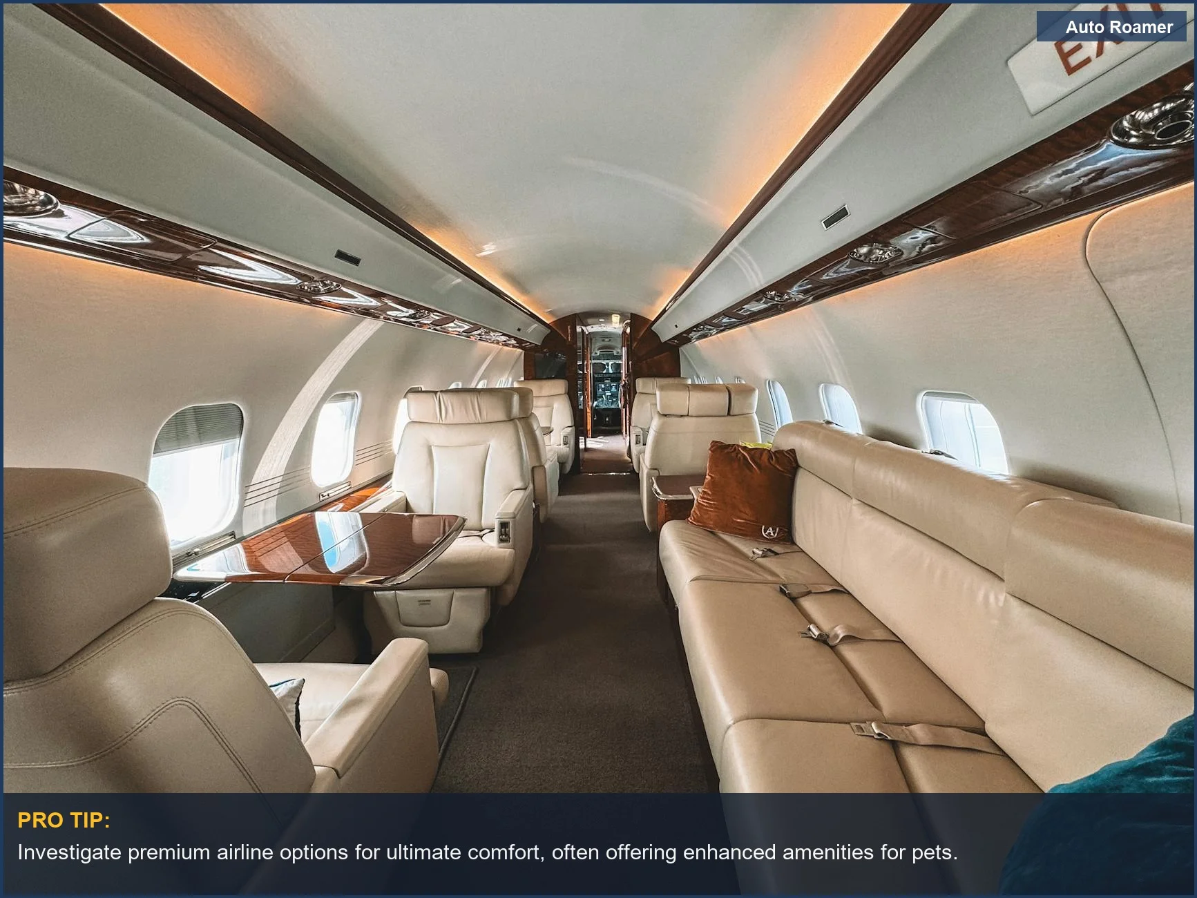 Luxurious private jet interior ideal for exclusive pet travel experiences.