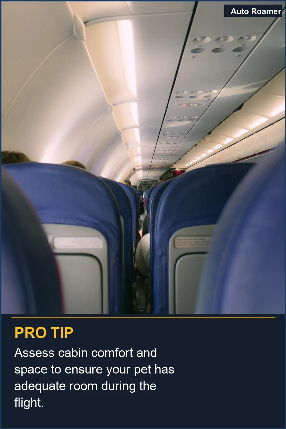 Assess cabin comfort and space to ensure your pet has adequate room during the flight.