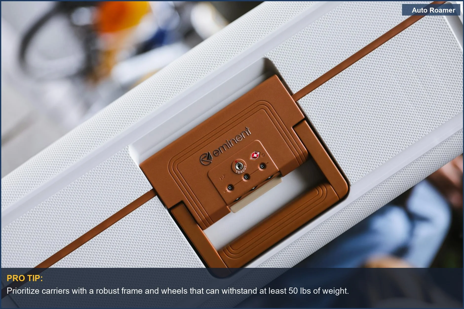 Secure pet travel carrier with wheels featuring a TSA lock for safe journeys.