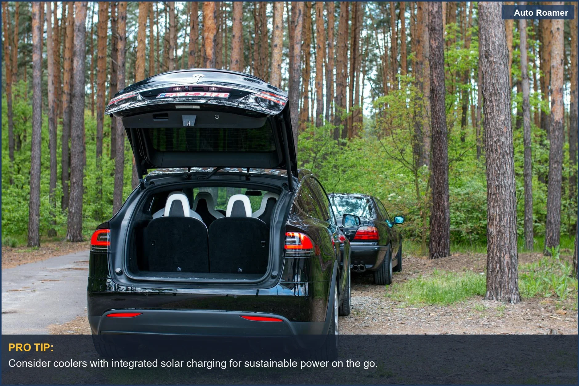 Electric SUV with open trunk in a serene forest, ideal for eco-friendly road trip coolers.
