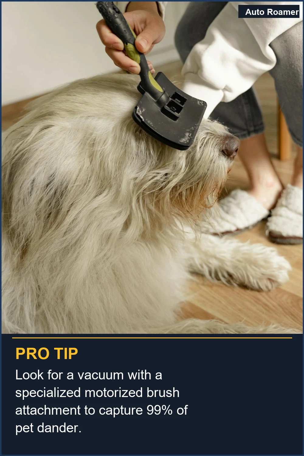 Look for a vacuum with a specialized motorized brush attachment to capture 99% of pet dander.